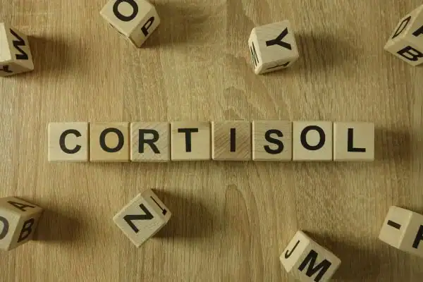 The Hidden Connection: How Stress Shapes Your Fitness and Body Composition 2 Image saying "Cortisol" and how stress Harrow impacts your wellbeing and bodies shape